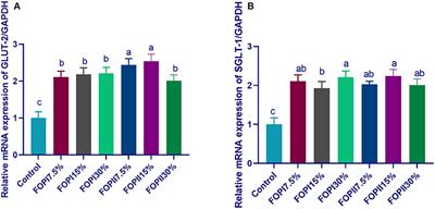 Impact of Fermented or Enzymatically Fermented Dried Olive Pomace on Growth, Expression of Digestive Enzyme and Glucose Transporter Genes, Oxidative Stability of Frozen Meat, and Economic Efficiency of Broiler Chickens